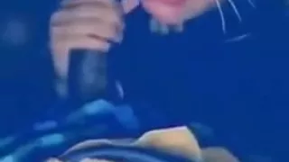 Barbie makes me cum and cleans it up like a good girl