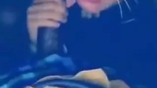 Loxxthafoxx & NaveahTheBarbie Compilation BUSTYBLONDE