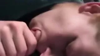 Red head escort swallow