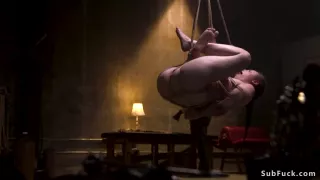 Shaved babe suffering rope suspension