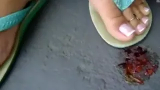 Crush bug in flip flops