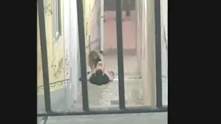 Tuga nas Ruas de Lisboa