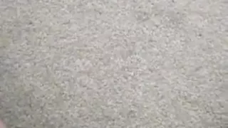 Pissing deep into the carpet while sitting