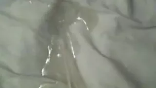 Beds are a convienent place to pee