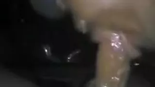 Fucking crackheads suck da best dick damn this bicth got my dick wet