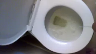 toilet pee 2