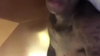 Boonk Sextape Full Hd