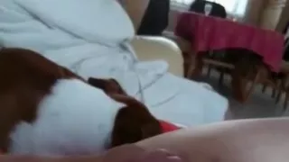 Mother in law flashdick cum