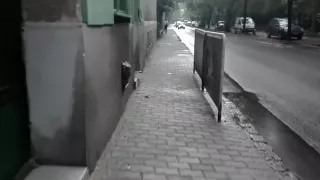 Boy single in the apartment.