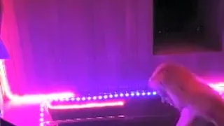 #Transe #Cumshot #Winterthur