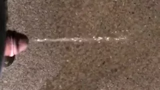 Pissing in the street