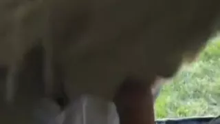 Reife Frauen, Milfsex, POVsex, Öffentlicher Sex, Schlucken, Sperma Schlucken