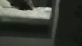 Me and my bro gotta room