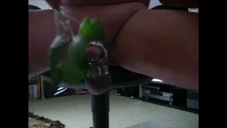 cbt nettles extrem sounding