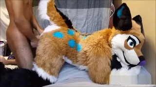 FreyaShibe - Doggy Fun