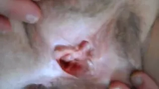 rubbing wife's clit playing and spreading for cum