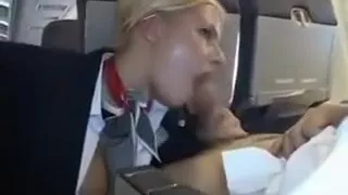 American stewardes fantasy