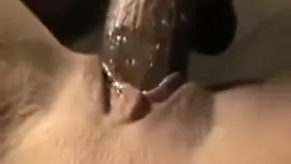 Fucking wet pussy up close with big dick and cum shot
