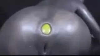 Roxy the robot works her anus