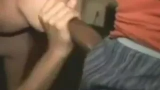 3 Black Bulls Breed junior White Trailer Trash