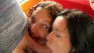 tits on the bus go round and round