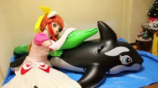 Orca pooltoy inflatable bondage