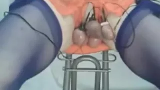 Dwt-dessous estim abspritzen cum cbt