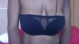 Lapicante from 28.09.17