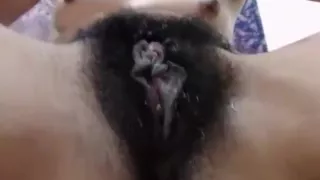 Extrem haarige und stinkende Cam-Slut