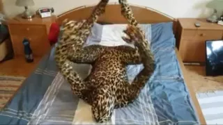 Ich teste meine Flexibilität