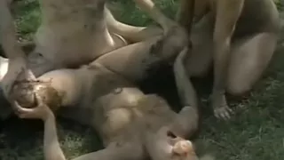 Crazy pornstars Robin Lee and Golden Jade in exotic threesome, public porn clip