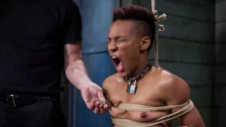 The Training of Nikki Darling, Day One - TheTrainingofO