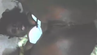 Ugly thick booty sexy black ghetto bitch fat pussy whore