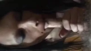 Pov party girl sucks cock