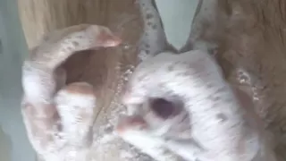 In the shower with my neighbour