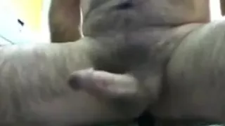 Riding dildo and cumming hands free