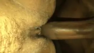 Balls swinging hitting this pussy doggy style