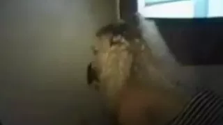 Cuck wife at gloryhole