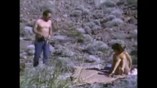 Lacey logan dan t. Mann