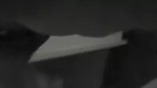 Hottest amateur Blonde, Interracial adult video