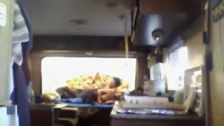 Amazing amateur Couple, Interracial porn movie