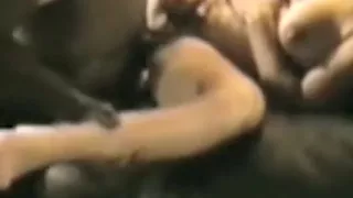 Best amateur Big Tits, Amateur sex movie