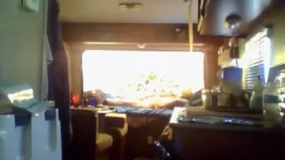 Crazy Medium Tits, BBW porn scene