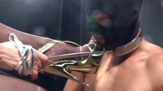 Worship my golden heels