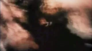 Exotic Interracial, Hairy sex clip