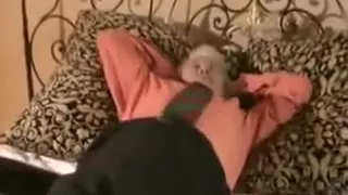 Horny Blonde, Cunnilingus xxx scene