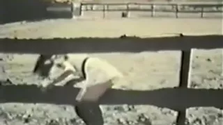 Horny Small Tits, Oldie adult clip