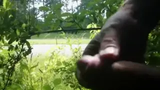 Crazy amateur adult movie