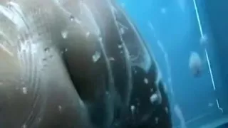 Exotic homemade sex video