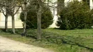 Horny Julia gives ass